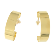 Orecchini in argento 925 dorati